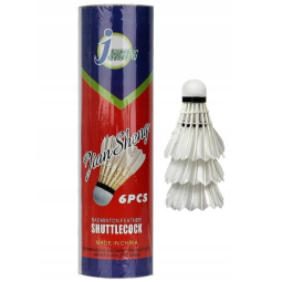 Bedmintonový raketoplán Techman, EB003, biely