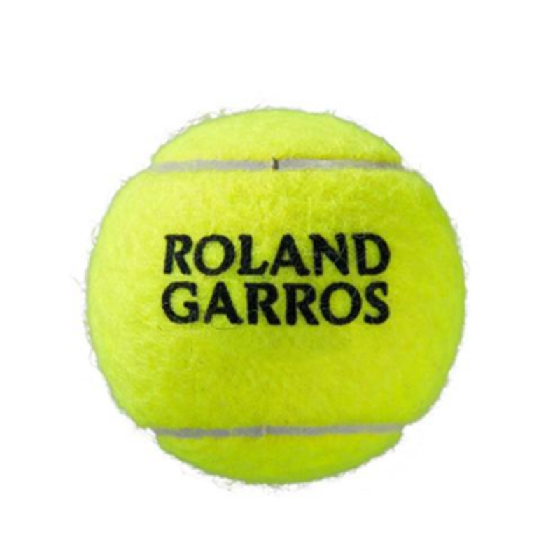 Tenisová loptička Wilson Roland Garros