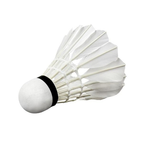 Bedmintonový raketoplán Wish S505-06, biely Bedmintonový raketoplán Wish S505-06, biely