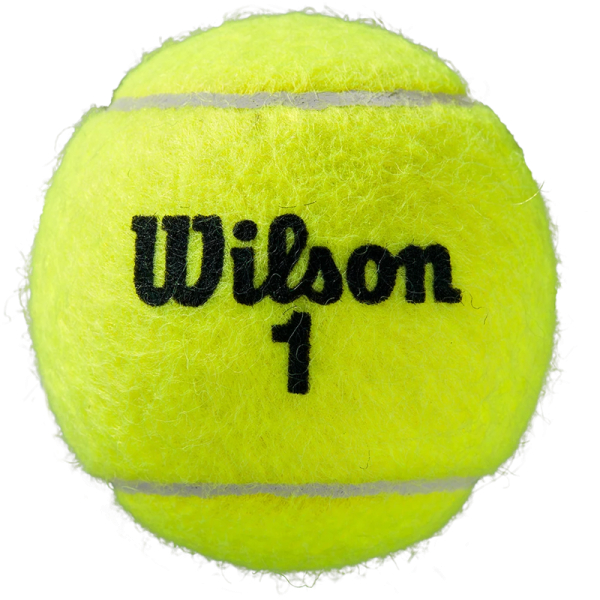 Tenisová loptička Wilson Roland Garros