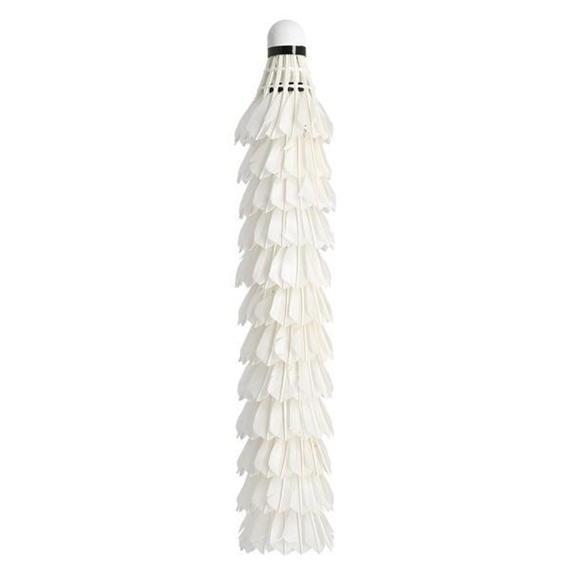 Bedmintonový raketoplán Wish PRO-808, biela farba