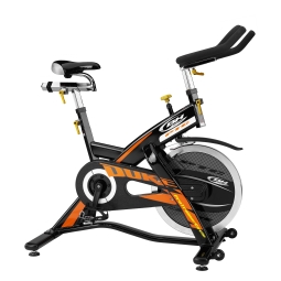 Stacionárny bicykel spinningový Rower  BH Fitness Duke H920