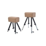 Gymnastický kôň, gymnastická koza